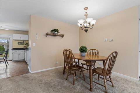 Tiny photo for 507 N Clearwater Street, Roselle, IL 60172 (MLS # 12591340)