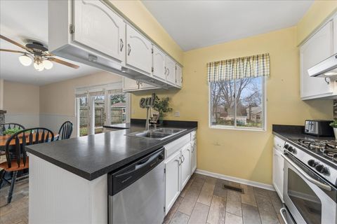 Tiny photo for 507 N Clearwater Street, Roselle, IL 60172 (MLS # 12591340)