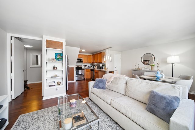 1221 N Dearborn Street 810S