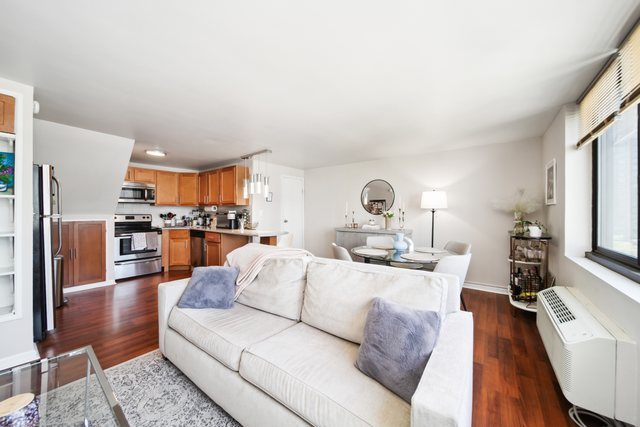 1221 N Dearborn Street 810S