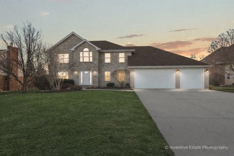 Photo of 8221 Forestview Drive, Frankfort, IL 60423 (MLS # 12537344)
