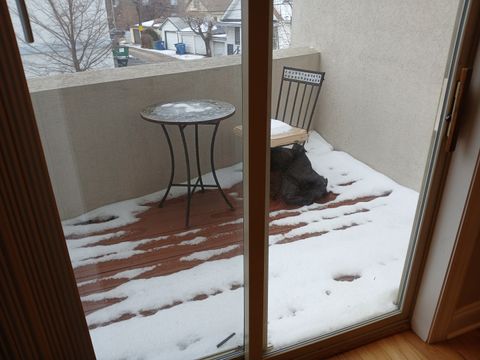 Tiny photo for 210 N Des Plaines Avenue N #D, Forest Park, IL 60130 (MLS # 12563615)