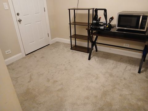 Tiny photo for 210 N Des Plaines Avenue N #D, Forest Park, IL 60130 (MLS # 12563615)