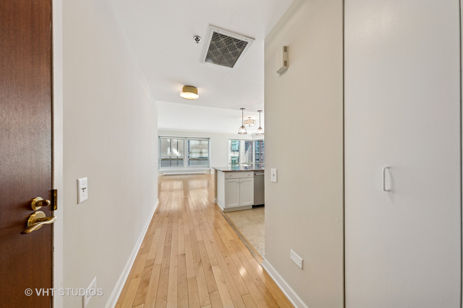 57 E Delaware Place 1701