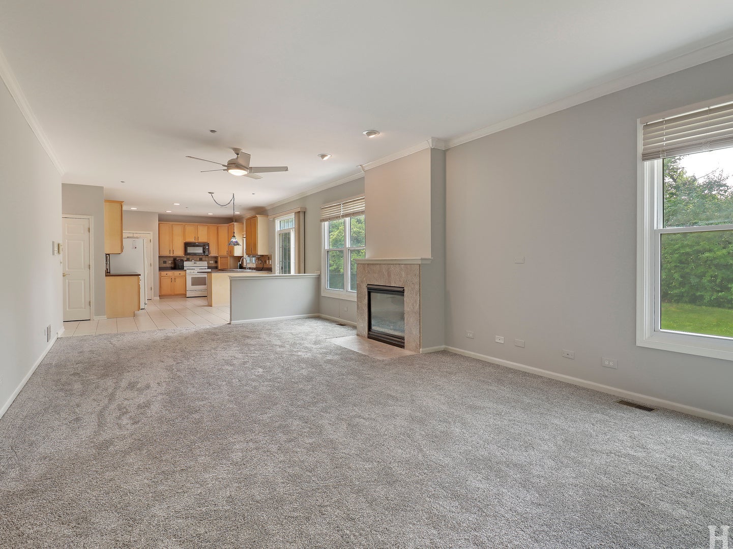 8032 Connor Drive
