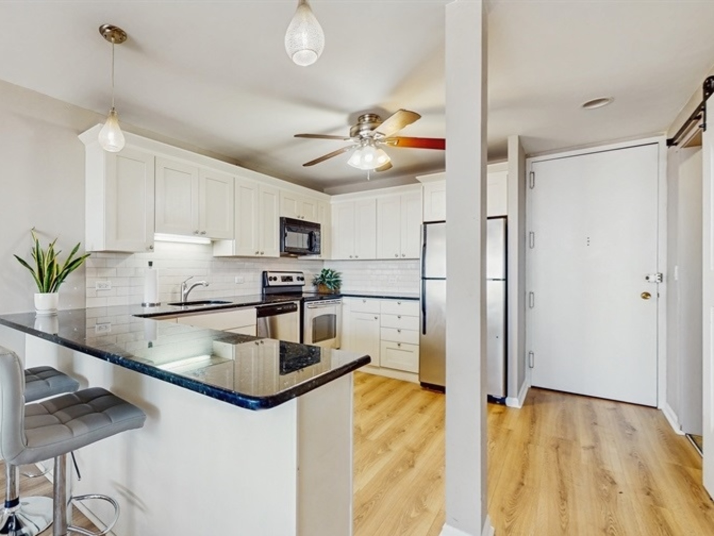 1636 N Wells Street 3406