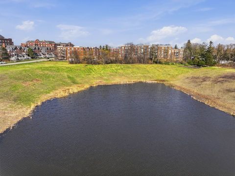 Tiny photo for 455 W Wood Street #405, Palatine, IL 60067 (MLS # 12614543)