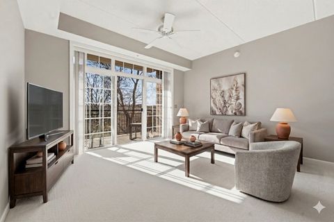 Tiny photo for 455 W Wood Street #405, Palatine, IL 60067 (MLS # 12614543)