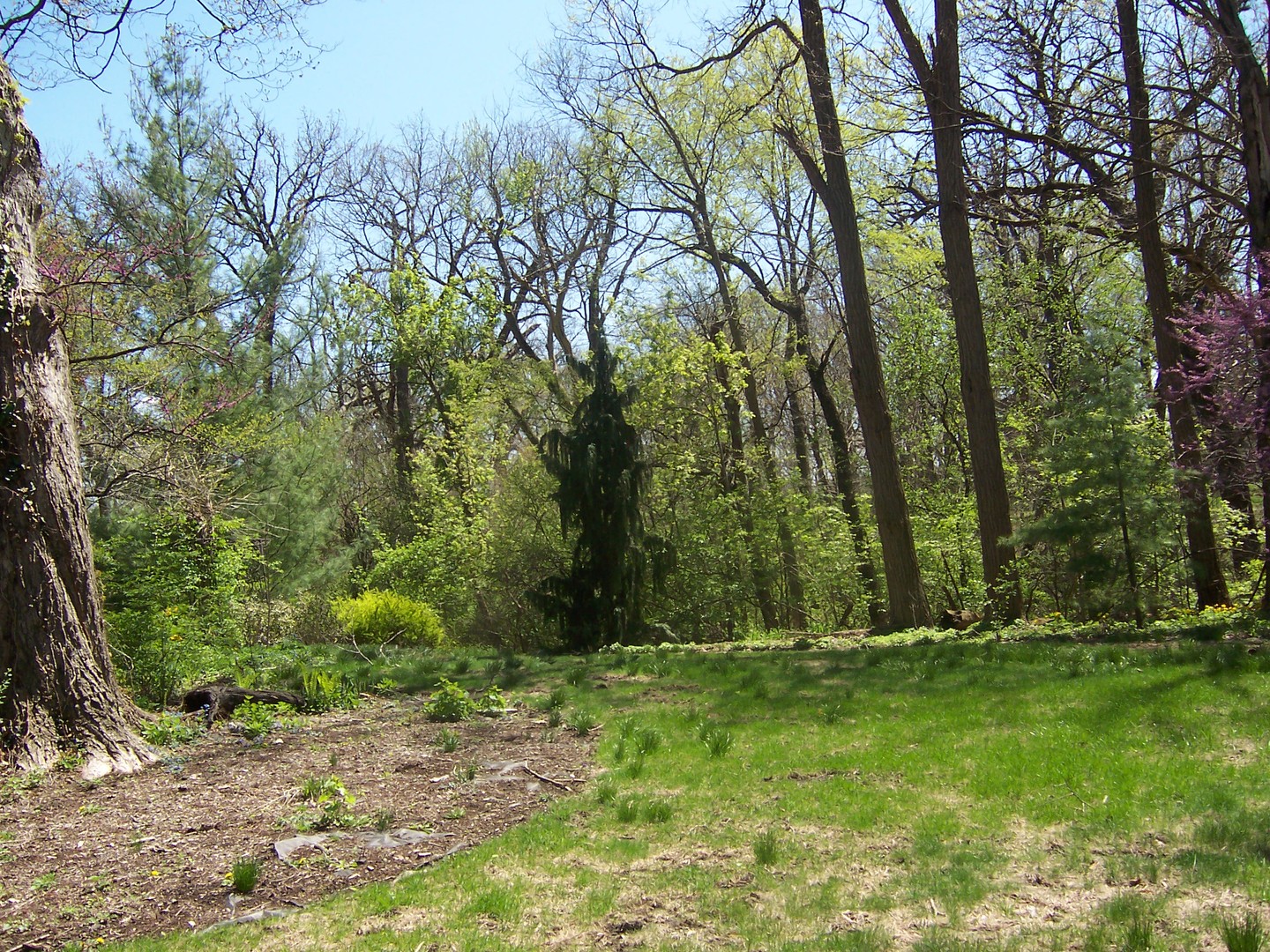 1301 South Batavia Avenue