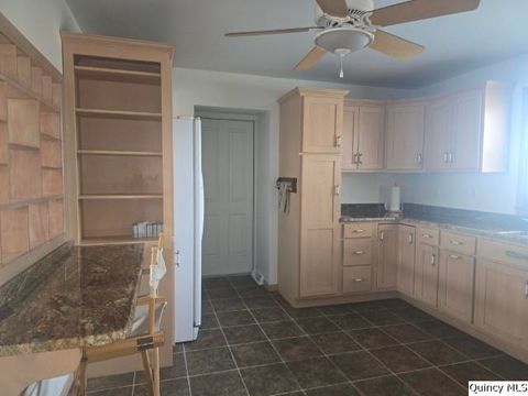 Tiny photo for 105 S Clermont St, Bowen, IL 62316 (MLS # 12604713)