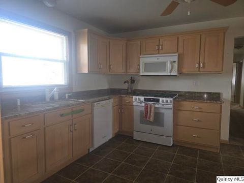 Tiny photo for 105 S Clermont St, Bowen, IL 62316 (MLS # 12604713)