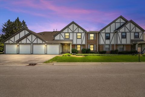 466 ELIZABETH Drive 17-C Wood Dale IL 60191
