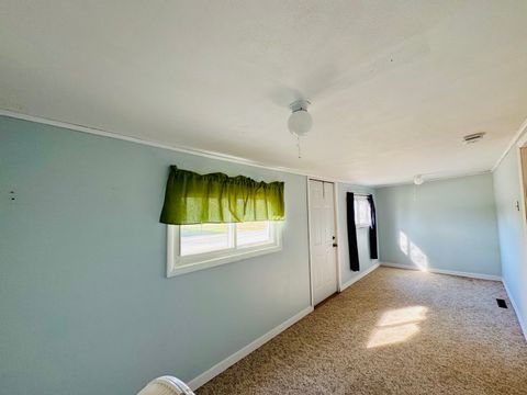 Tiny photo for 6217 Washington Street, Mulkeytown, IL 62865 (MLS # 12598000)