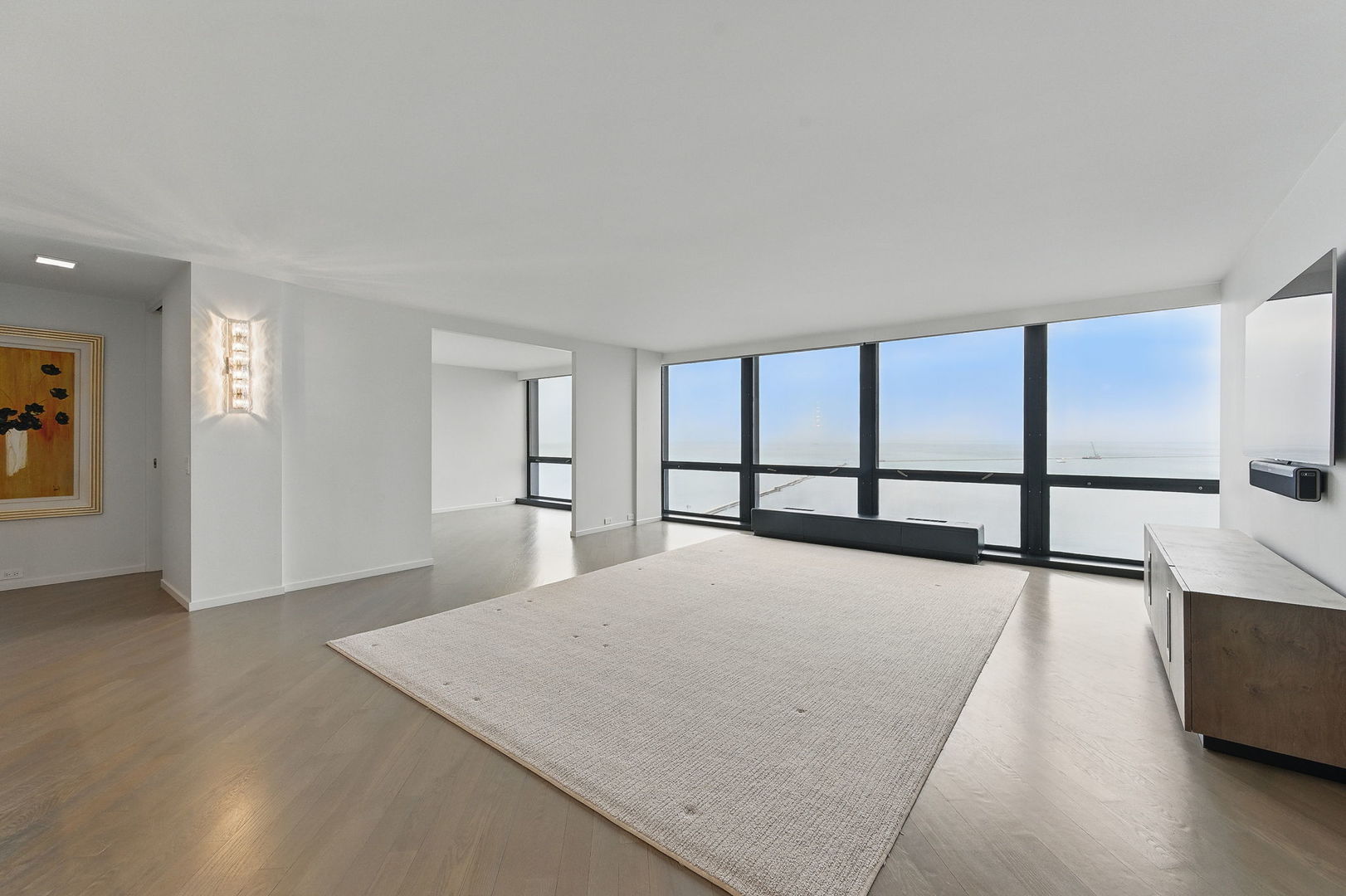 910 N Lake Shore Drive 1419
