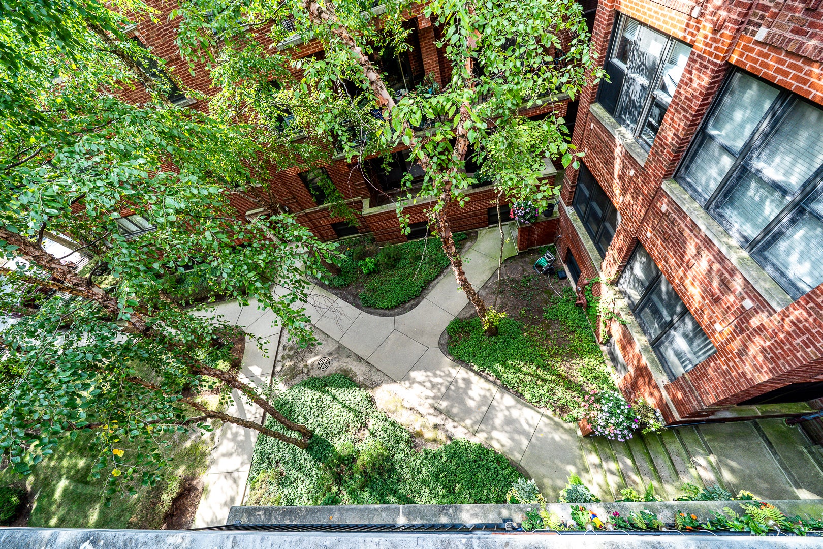 6618 N Ashland Avenue 3