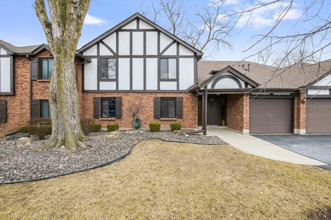 11151 Cottonwood Drive 19C Palos Hills IL 60465