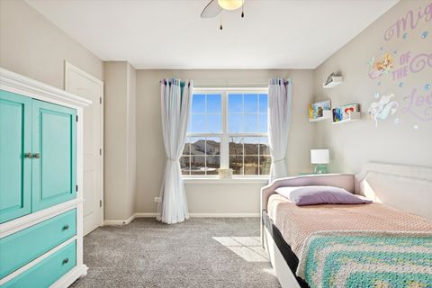 Tiny photo for 1059 Waterfront Lane, Pingree Grove, IL 60140 (MLS # 12577913)