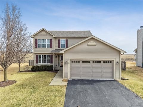 Photo of 830 Spring Meadow Lane, Malta, IL 60150 (MLS # 12581845)
