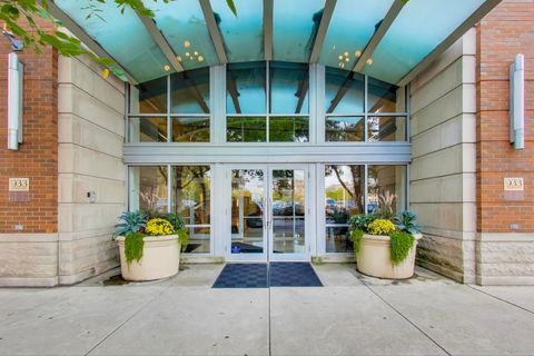 933 W Van Buren Street 311 Chicago IL 60607