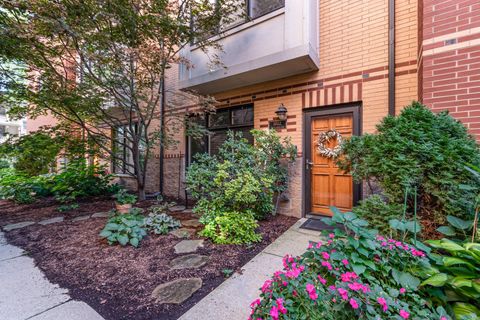 Tiny photo for 1022 Alexander Lane, Oak Park, IL 60302 (MLS # 12493090)