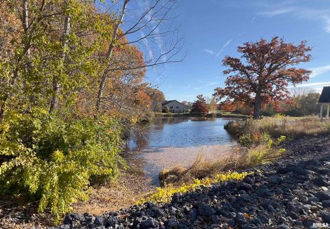 Tiny photo for 9933 123rd Street, Davenport, IA 52804 (MLS # QC4269448)