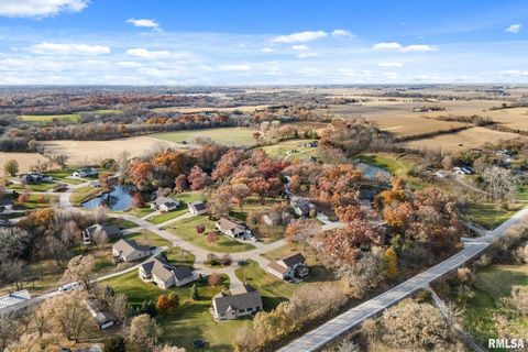 Tiny photo for 9933 123rd Street, Davenport, IA 52804 (MLS # QC4269448)