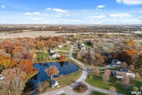 Tiny photo for 9933 123rd Street, Davenport, IA 52804 (MLS # QC4269448)