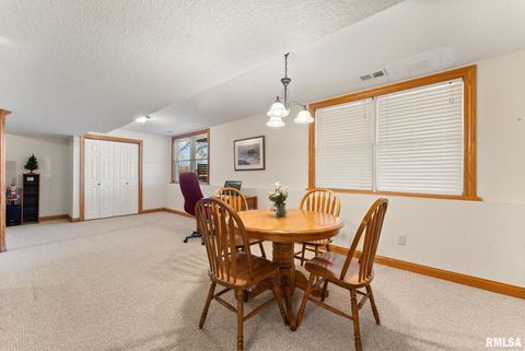 Tiny photo for 9933 123rd Street, Davenport, IA 52804 (MLS # QC4269448)