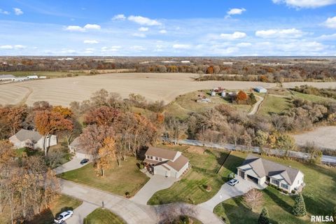 Tiny photo for 9933 123rd Street, Davenport, IA 52804 (MLS # QC4269448)