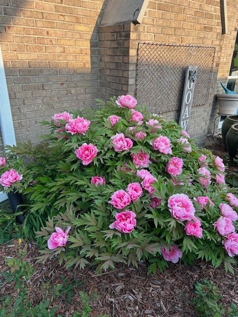 Tiny photo for 20W481 Westminster Drive, Downers Grove, IL 60516 (MLS # 12571390)