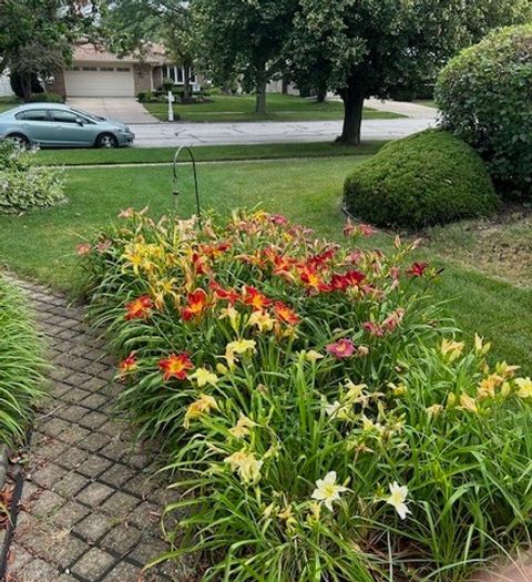 Tiny photo for 20W481 Westminster Drive, Downers Grove, IL 60516 (MLS # 12571390)