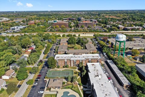 Tiny photo for 2301 Beau Monde Lane #205, Lisle, IL 60532 (MLS # 12498983)