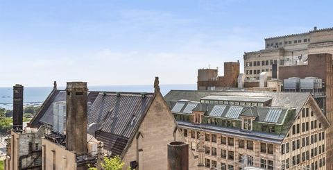 Tiny photo for Chicago, IL 60603 (MLS # 12588649)