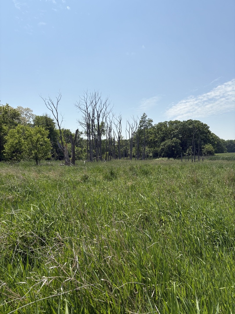17230 W Il Route 173