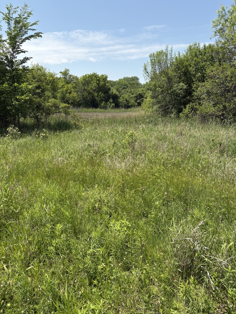 17230 W Il Route 173