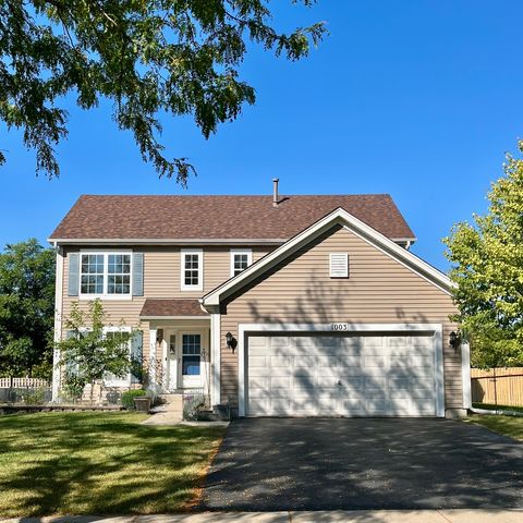 Photo of 1003 Plaintain Drive, Joliet, IL 60431 (MLS # 12472590)