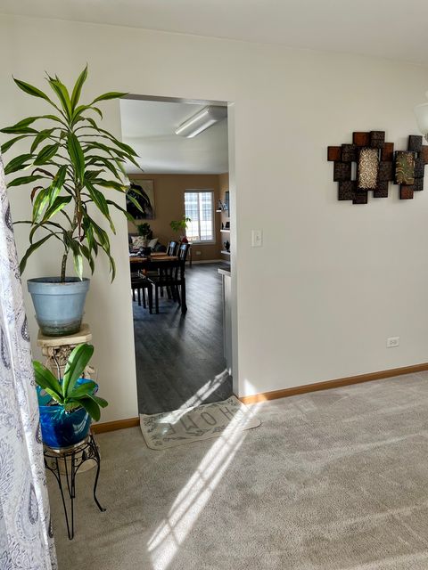 Tiny photo for 1003 Plaintain Drive, Joliet, IL 60431 (MLS # 12472590)