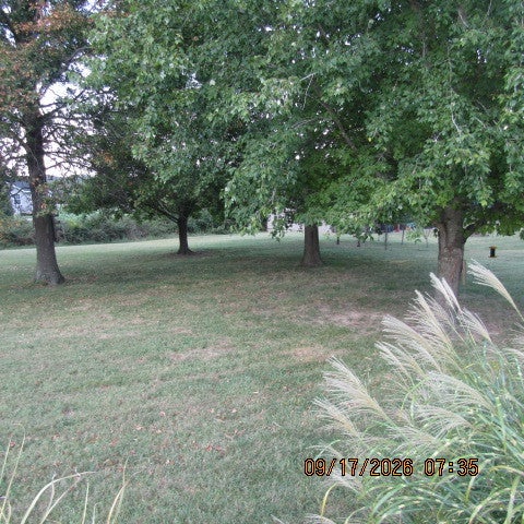 Tiny photo for 12001 Forest Baptist Church Road, Benton, IL 62812 (MLS # 12763824)