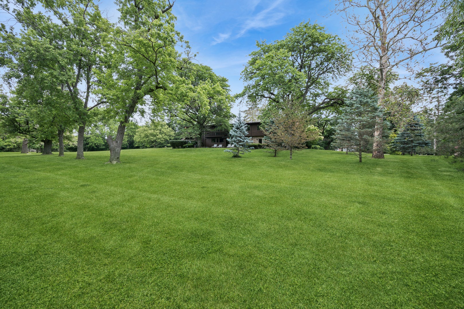 8080 Wolf Road