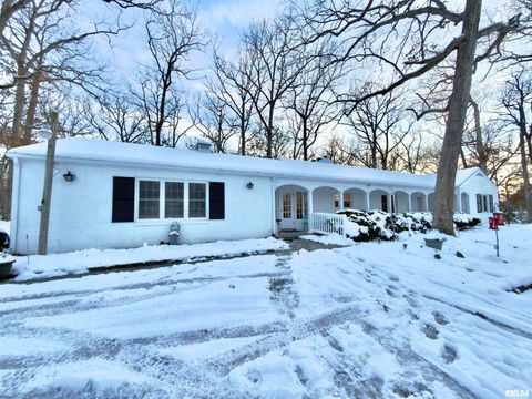 Tiny photo for 3831 E STATE Highway, Shumway, IL 62461 (MLS # EB460672)