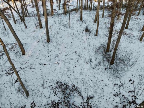 Tiny photo for 3831 E STATE Highway, Shumway, IL 62461 (MLS # EB460672)