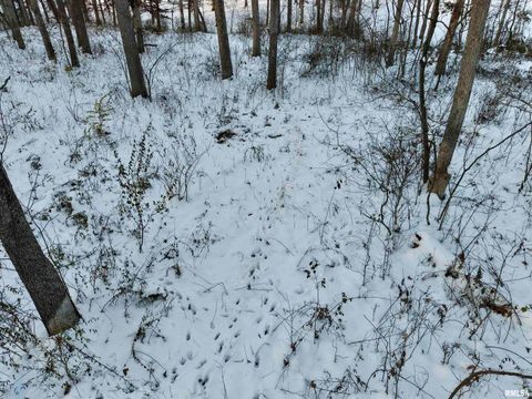 Tiny photo for 3831 E STATE Highway, Shumway, IL 62461 (MLS # EB460672)