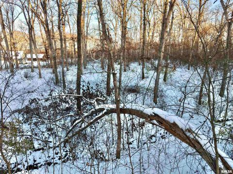 Tiny photo for 3831 E STATE Highway, Shumway, IL 62461 (MLS # EB460672)