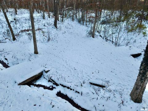 Tiny photo for 3831 E STATE Highway, Shumway, IL 62461 (MLS # EB460672)