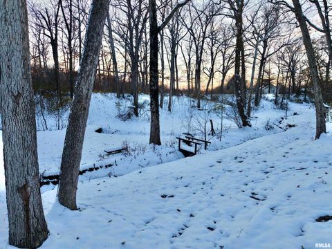 Tiny photo for 3831 E STATE Highway, Shumway, IL 62461 (MLS # EB460672)