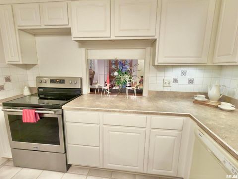 Tiny photo for 3831 E STATE Highway, Shumway, IL 62461 (MLS # EB460672)