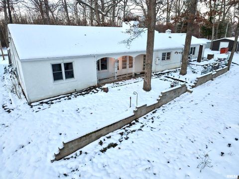 Tiny photo for 3831 E STATE Highway, Shumway, IL 62461 (MLS # EB460672)