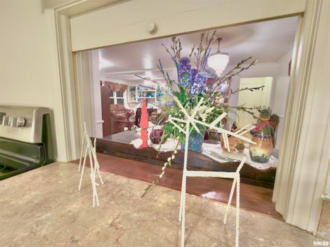 Tiny photo for 3831 E STATE Highway, Shumway, IL 62461 (MLS # EB460672)