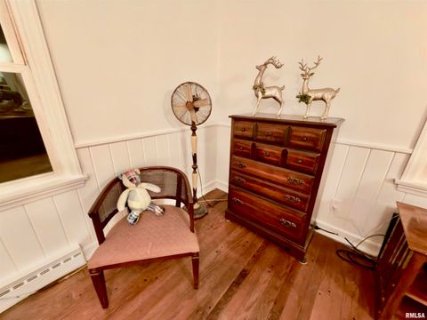 Tiny photo for 3831 E STATE Highway, Shumway, IL 62461 (MLS # EB460672)