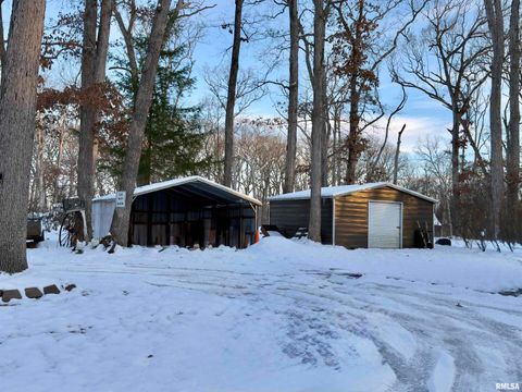 Tiny photo for 3831 E STATE Highway, Shumway, IL 62461 (MLS # EB460672)